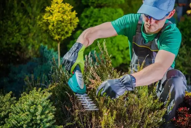 landscaping services Shelter Island Heights